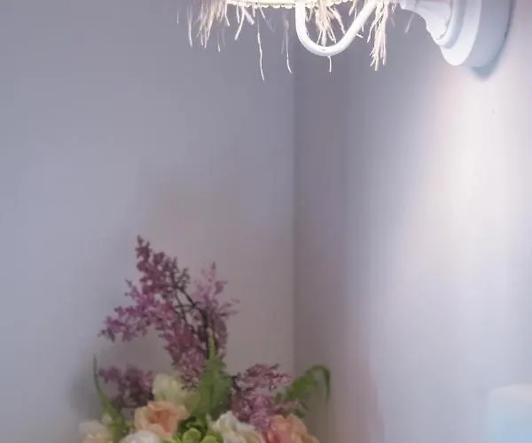 Appartement La Casa Del Transito - Living *